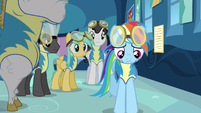 Rainbow Dash frowning S3E7