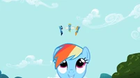 Look! It's the Wonderbolts!