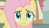 Scared Fluttershy -mountain-- S01E07