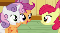 Scootaloo and Sweetie Belle --Sure am!-- S6E4