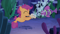 Scootaloo blows bubbles with the shell S8E6