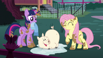 Twilight, Fluttershy, and happy clean pig S5E3