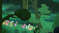 Twilight, Spike, Zecora, and other ponies walk together S5E26