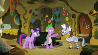 Looks like Spike is outsizing the ponies, even this zebra.