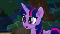 Twilight Sparkle "good thing, too" MLPRR