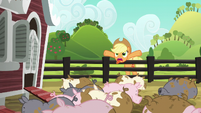 Applejack trying to scare the pigs S6E10