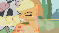 Applejack tugs on lasso S1E04