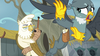 Elderly griffon angrily chases Gabby off S6E19