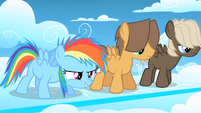 Filly Rainbow Dash ready to race S1E23