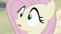 Fluttershy escucha a Party Favor EMC-P2