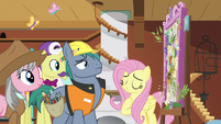 Fluttershy explains her vision to the experts S7E5