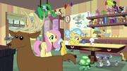 Fluttershy sees deer crossing in front of screen S7E5