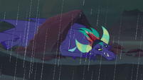 Former Dragon Lord stuck in the rain S8E16