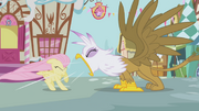 Gilda rugindo para Fluttershy T1E05