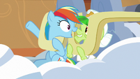 Rainbow Dash "isn't this amazing?" S8E5