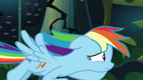 Rainbow Dash following Daring Do S9E21