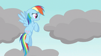 Rainbow Dash now or never S3E13