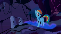 Rainbow Dash sees Nightmare Moon's trail S1E02