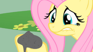 S01E22 Przerażona Fluttershy