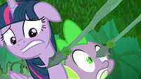 Spears being pointed even closer to Twilight and Spike S5E26