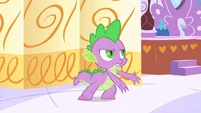 Spike still can't believe Twilight told Photo Finish about his feelings for Rarity.