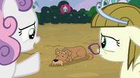 Sweetie Belle "won't turn him back into a puppy" S7E6