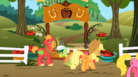 Random pony to the right with the Apple family.