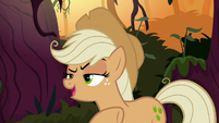 Fake Applejack "should've told you that before" S8E13