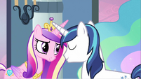 Princess Cadance and Shining Armor being affectionate.