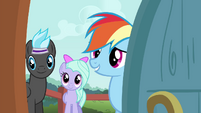 Rainbow Dash asking about the Breezies S4E16