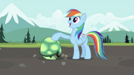 S02E07 Rainbow Dash ze swoim nowym pupilem