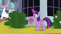 Shining Armor has his eye on Twilight S9E4