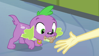 Giving Spike a Treat