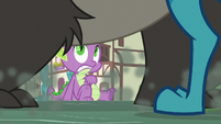 Spike sees Bear-Thorax jump in front of him S7E15