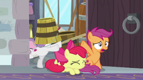 Sweetie Belle with bucket on her head S8E26