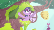 Twilight "morning in Ponyville shimmers" S03E13