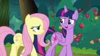 Twilight "right next to the Elements" S8E13