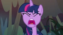 "Everypony, QUIET!!!!"