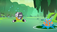 Zecora floats back to shore with the moss S7E20
