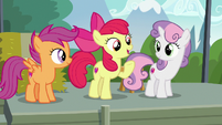 Apple Bloom "we found the first activity of the day" S7E21