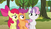 Apple Bloom and Scootaloo looks at Sweetie Belle S3E04