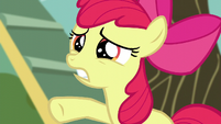 Apple Bloom gritando ''Esperen un segundo'' Un Descanso Agotador