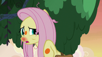 Fluttershy -I didn't want it to have to come to this- S7E20