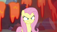 Fluttershy glaring at the dragons S9E9