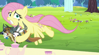 Fluttershy saves animals from getting smashed S5E11