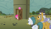 Pinkie Pie at the silo door S1E23