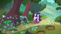 Rarity notices the trail of footprints S8E17