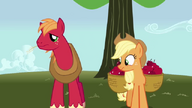 S01E04 Zdziwiona Applejack patrzy na brata