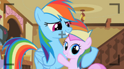 S02E08 Rainbow i jej fanka.png