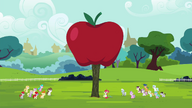 S04E15 Ogromne jabłko wyhodowane przez Apple Bloom